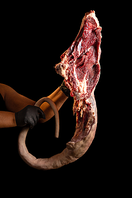 Cow Tail